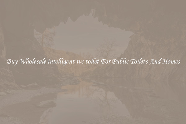 Buy Wholesale intelligent wc toilet For Public Toilets And Homes