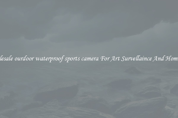 Wholesale ourdoor waterproof sports camera For Art Survellaince And Home Use
