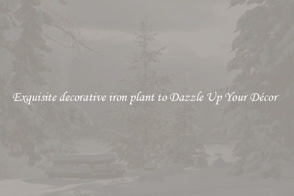 Exquisite decorative iron plant to Dazzle Up Your Décor  