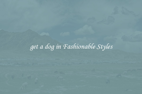 get a dog in Fashionable Styles