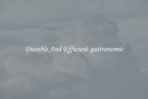 Durable And Efficient gastronomic