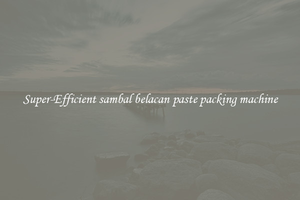 Super-Efficient sambal belacan paste packing machine