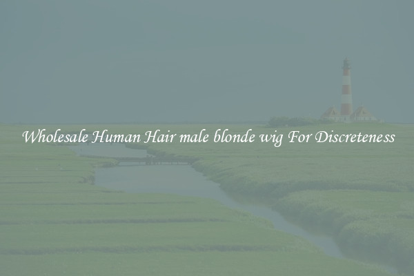 Wholesale Human Hair male blonde wig For Discreteness