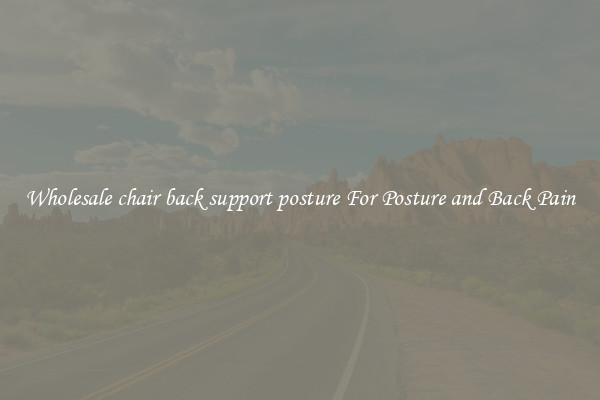 Wholesale chair back support posture For Posture and Back Pain