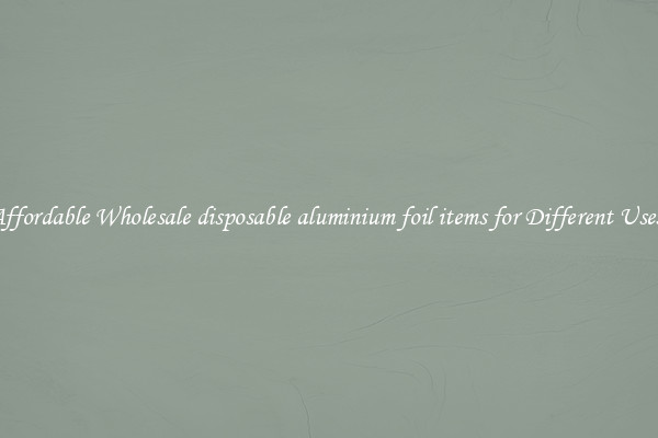 Affordable Wholesale disposable aluminium foil items for Different Uses 