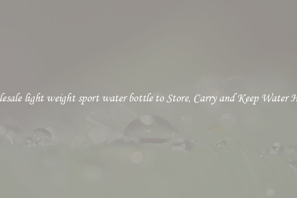 Wholesale light weight sport water bottle to Store, Carry and Keep Water Handy