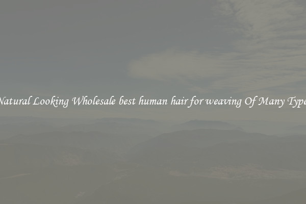 Natural Looking Wholesale best human hair for weaving Of Many Types