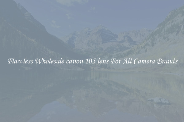 Flawless Wholesale canon 105 lens For All Camera Brands