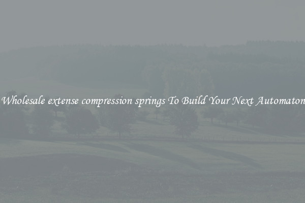 Wholesale extense compression springs To Build Your Next Automaton