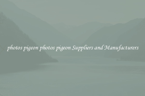 photos pigeon photos pigeon Suppliers and Manufacturers