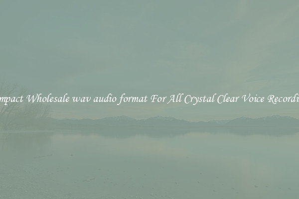 Compact Wholesale wav audio format For All Crystal Clear Voice Recordings