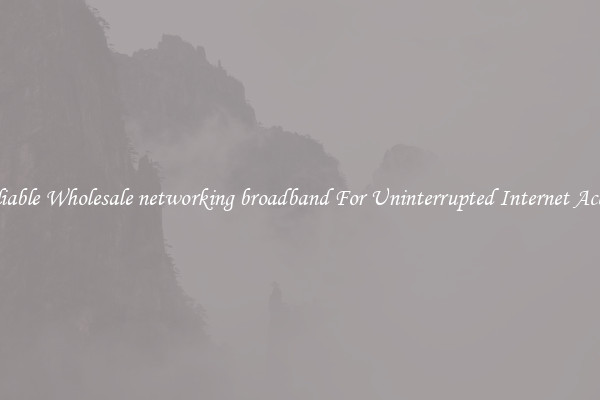 Reliable Wholesale networking broadband For Uninterrupted Internet Access