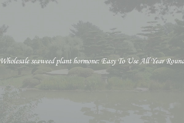 Wholesale seaweed plant hormone: Easy To Use All Year Round