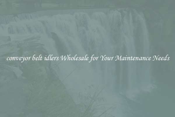 conveyor belt idlers Wholesale for Your Maintenance Needs