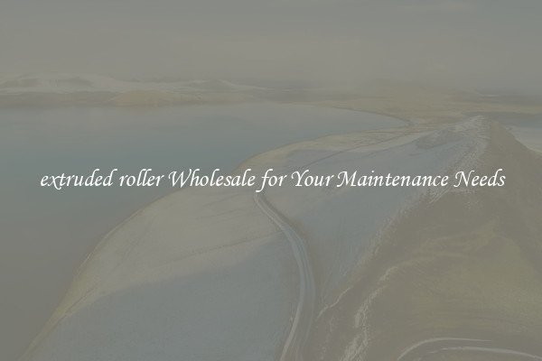 extruded roller Wholesale for Your Maintenance Needs