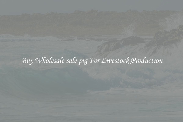 Buy Wholesale sale pig For Livestock Production