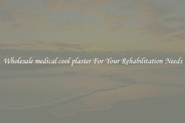 Wholesale medical cool plaster For Your Rehabilitation Needs