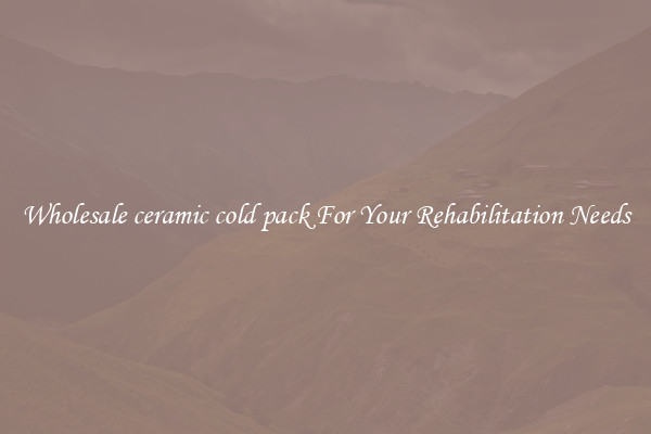 Wholesale ceramic cold pack For Your Rehabilitation Needs