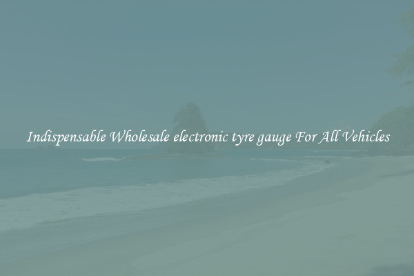 Indispensable Wholesale electronic tyre gauge For All Vehicles