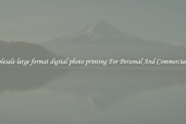Wholesale large format digital photo printing For Personal And Commercial Use